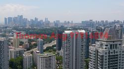 Soleil @ Sinaran (D11), Condominium #88391522